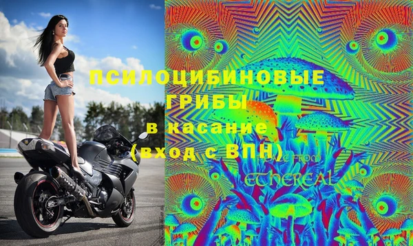 твердый Краснотурьинск