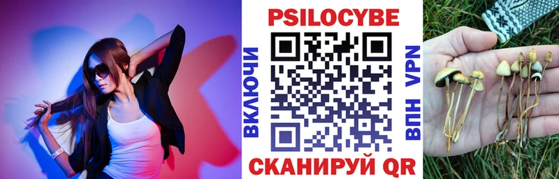 купить наркоту Бердск это наркотические препараты Галлюциногенные грибы мухоморы