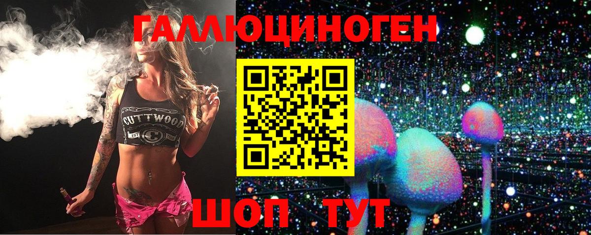 Псилоцибиновые грибы Magic Shrooms  Бердск  Галлюциногенные грибы Psilocybine cubensis 