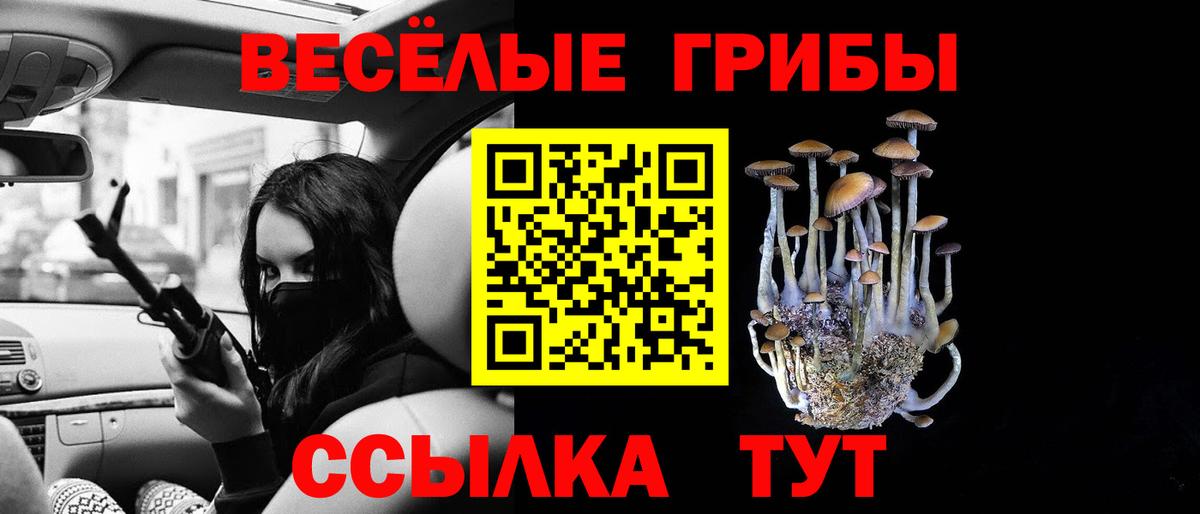 Псилоцибиновые грибы мицелий  Вход с VPN  Бердск  Галлюциногенные грибы мухоморы 
